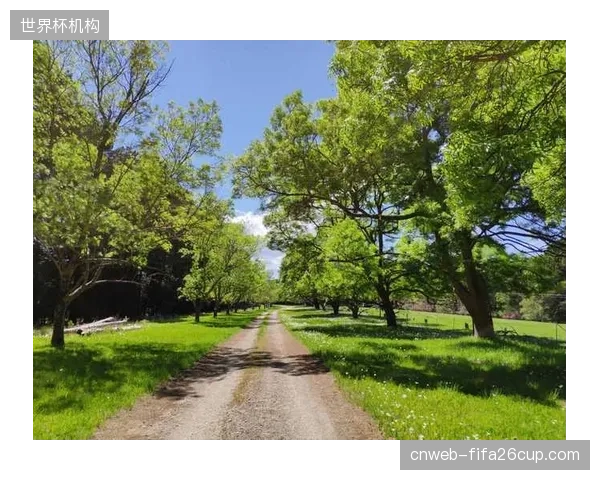 若进入淘汰赛阶段遭遇高原主场球队，新西兰稀薄空气下的作战经验匮乏将是巨大短板。